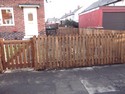 PKT1 picket fence