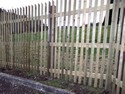 Vertical paling stockade fence