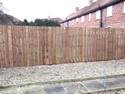 Wooden garden fence.
