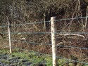 Barb Wire fencing